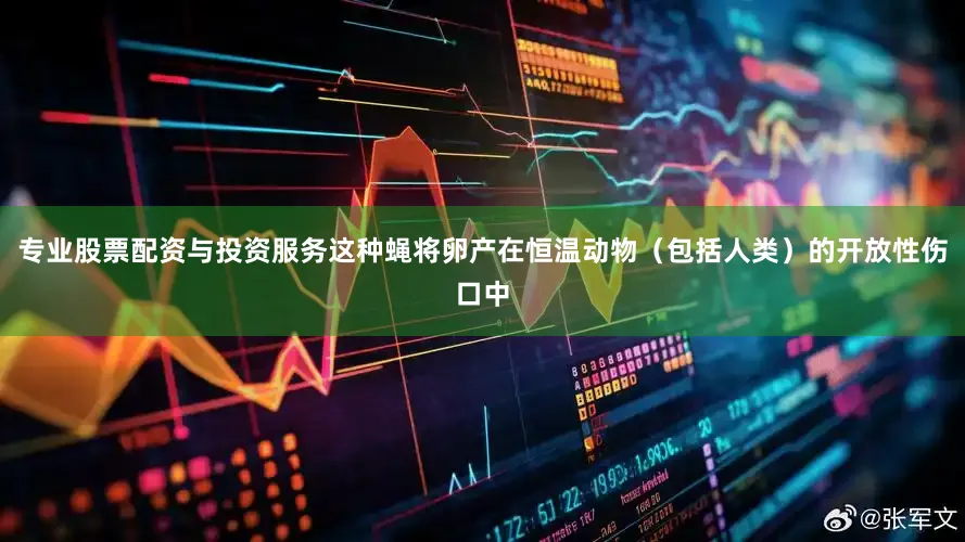 专业股票配资与投资服务这种蝇将卵产在恒温动物（包括人类）的开放性伤口中