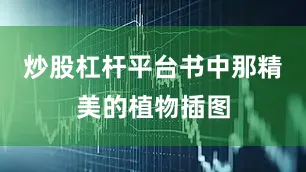 炒股杠杆平台书中那精美的植物插图