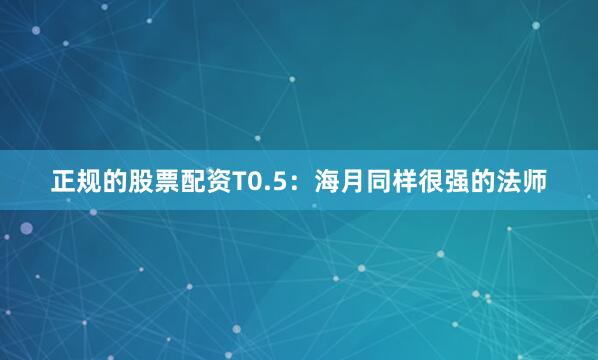 正规的股票配资T0.5：海月同样很强的法师